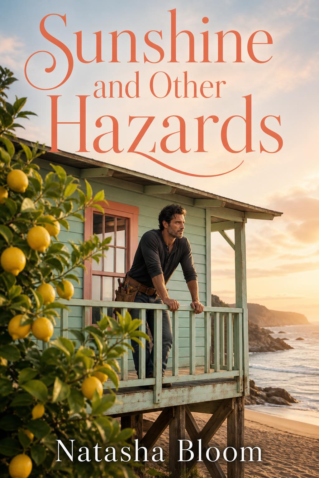 Cover of Sunshine and Other Hazards